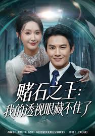 赌石之王我的透视眼藏不住了