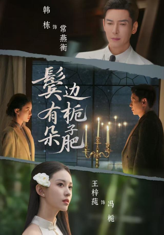 鬓边有朵栀子肥封面图