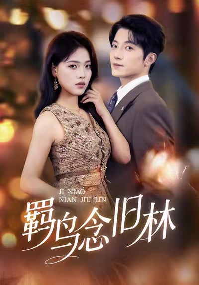 羁鸟念旧林封面图