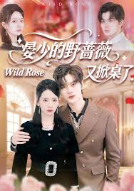 晏少的野蔷薇又掀桌了