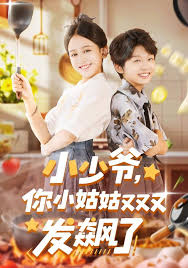 小少爷你小姑姑又又又发飙了