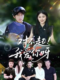 对不起我还是很爱你