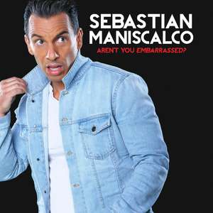 塞巴斯蒂安·马尼斯科：这不对劲封面图