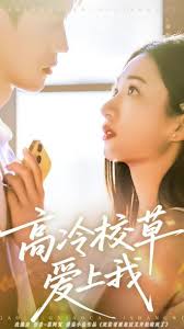 高冷校草爱上我