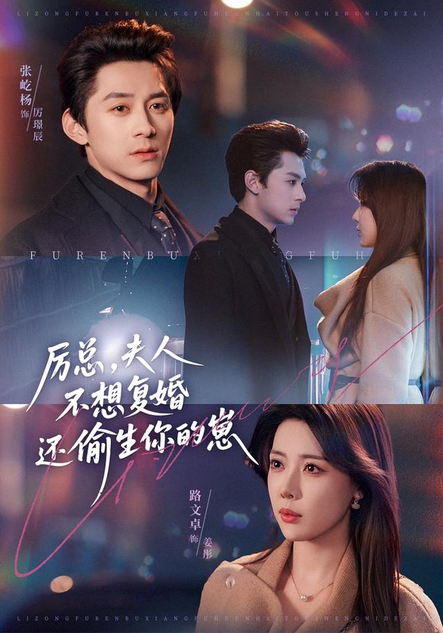 厉总夫人不想复婚还偷生你的崽