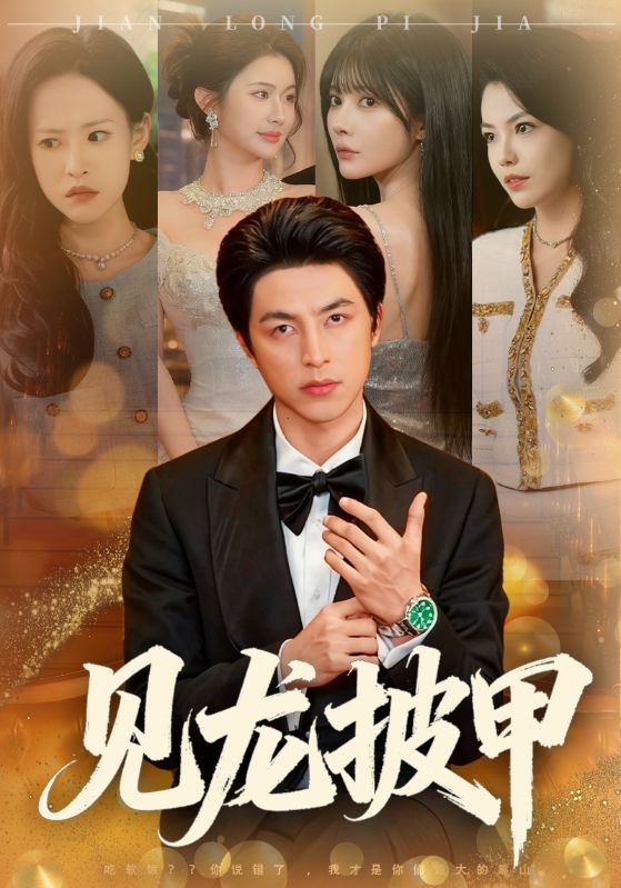 见龙披甲封面图