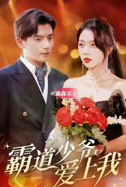 霸道少爷爱上我