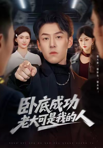 卧底成功老大可是我的人封面图