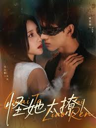 怪她太撩人封面图