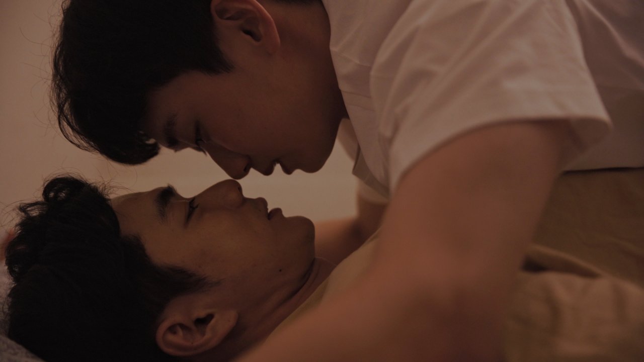 学长醉爱你封面图