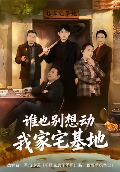 谁也别想动我家宅基地封面图