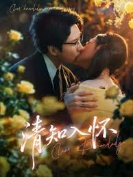 清知入怀封面图