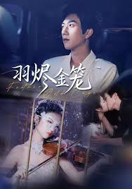 羽烬金笼封面图