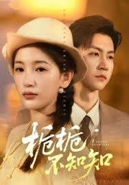 栀栀不知知封面图