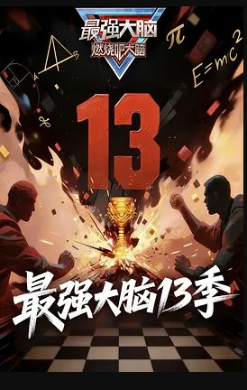 最强大脑第13季