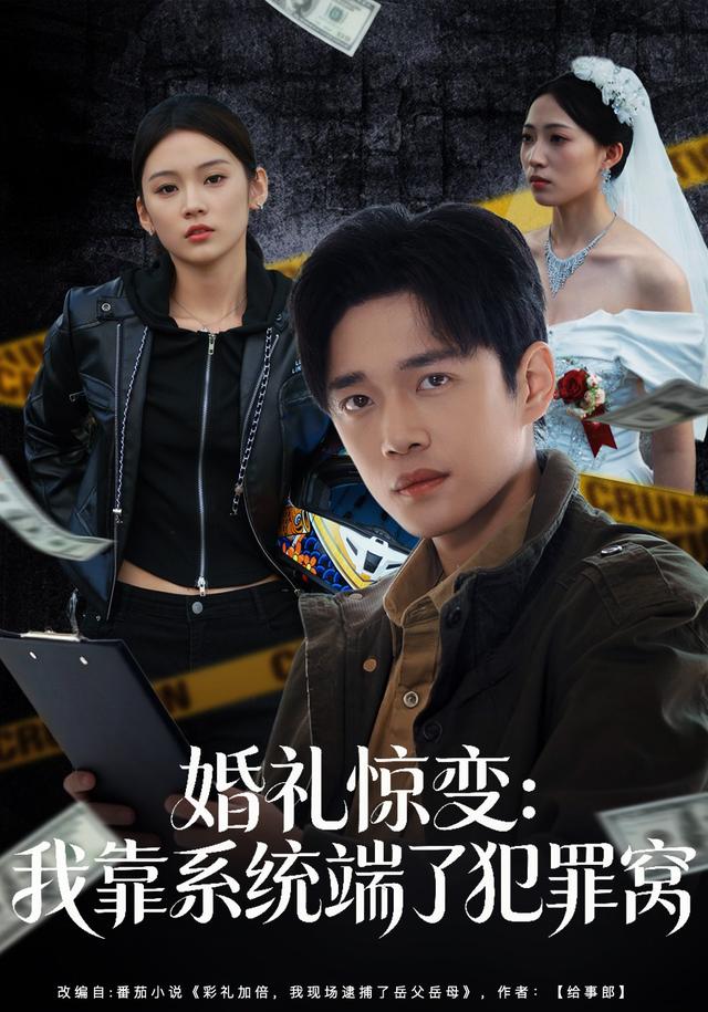婚礼惊变：我靠系统端了犯罪窝