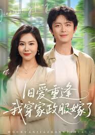 旧爱重逢我穿家政服嫁了封面图