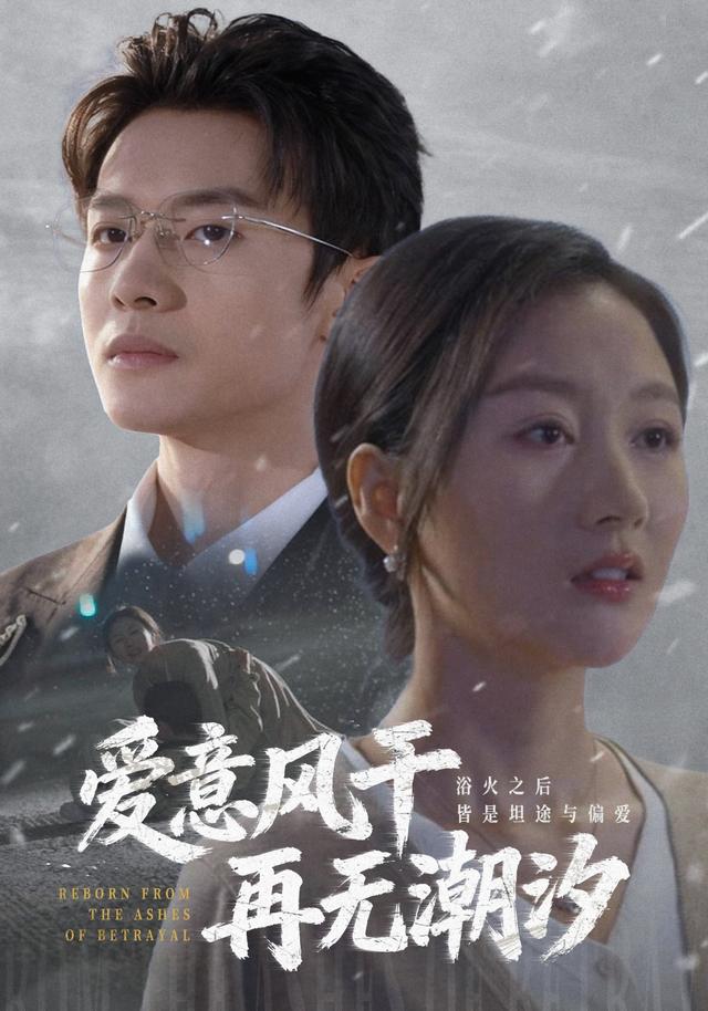 爱意风干再无潮汐封面图