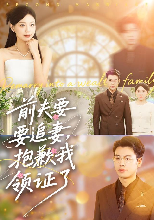 前夫要追妻，抱歉我领证了封面图