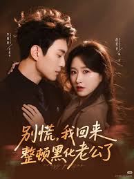 别慌，我回来整顿黑化老公了封面图