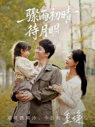 骤雨初晴待月明