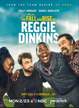 雷吉丁金斯的兴衰封面图