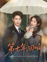 第七年，回响封面图