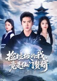 捡垃圾的我竟是仙门赘婿