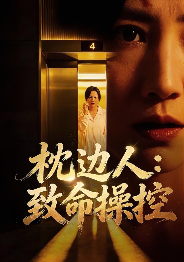 枕边人：致命操控封面图