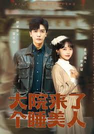 大院来了个睡美人封面图