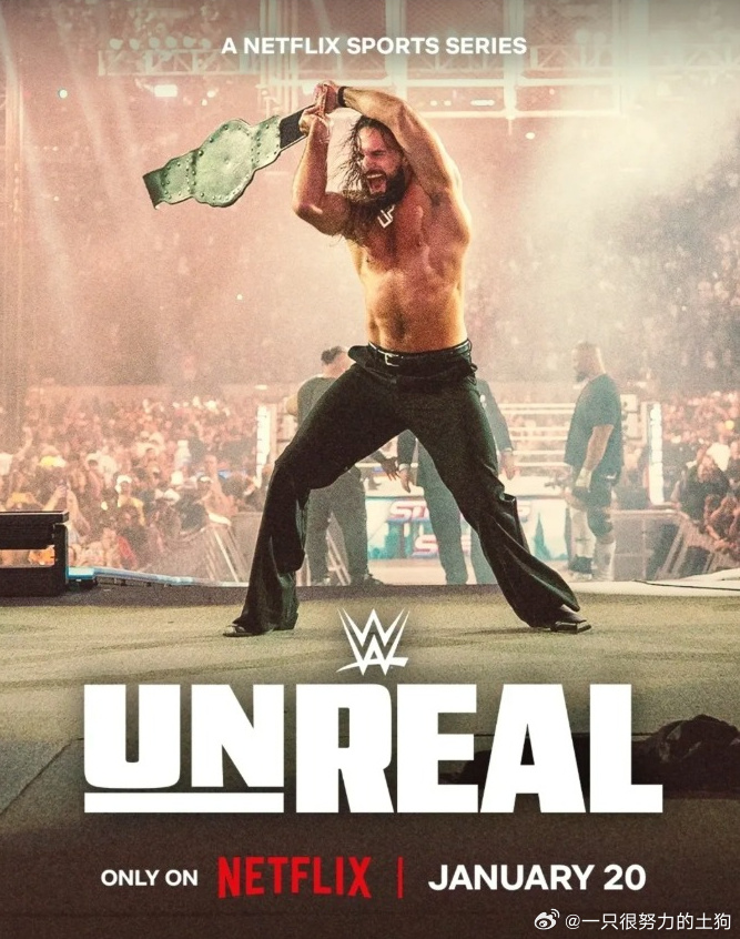 WWE：幕后追踪第二季封面图