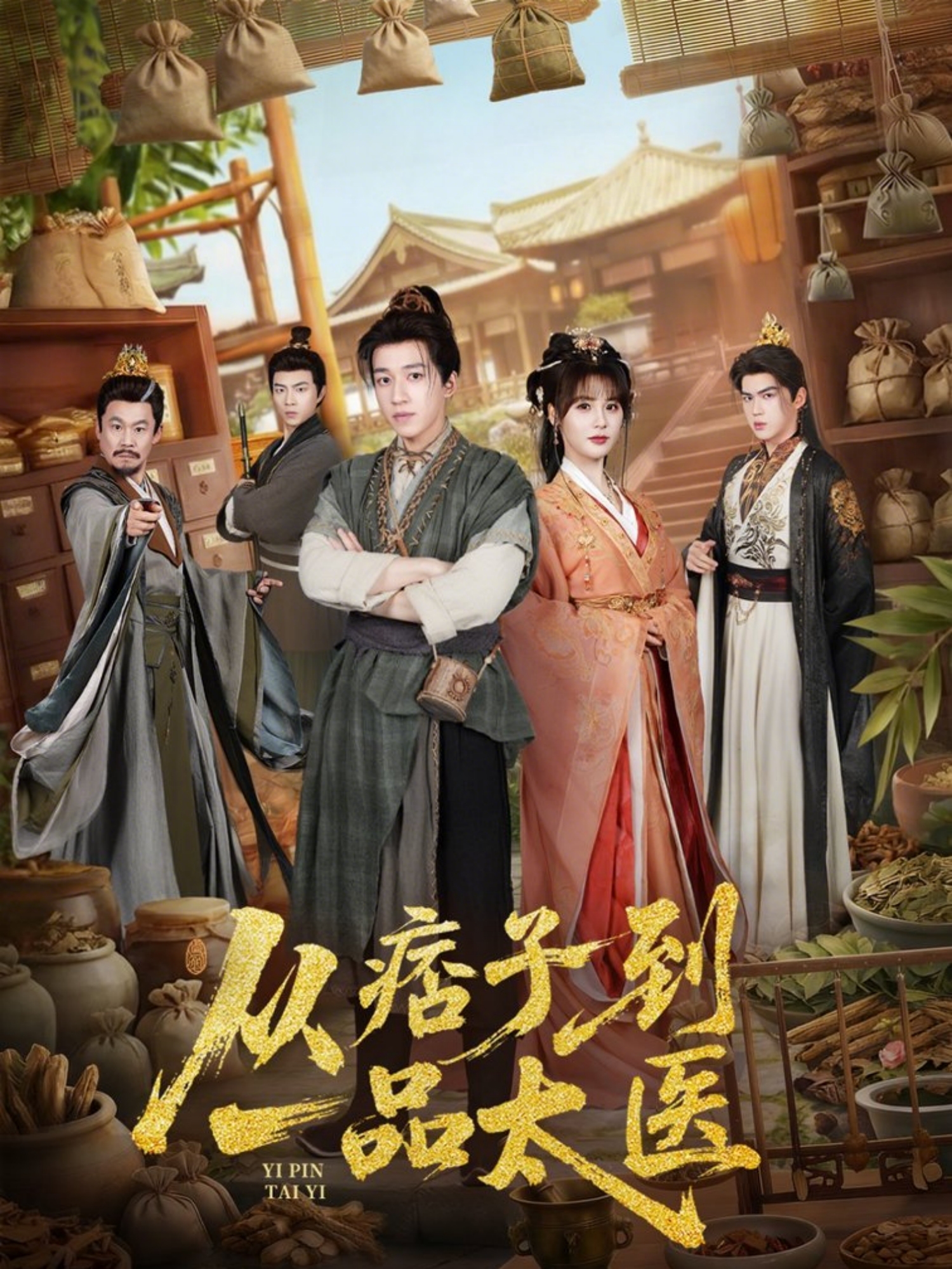 从痞子到一品太医封面图