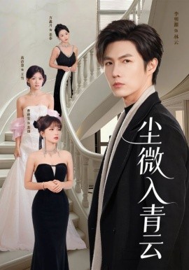 尘微入青云封面图