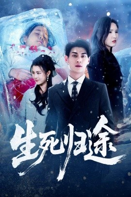 生死归途封面图