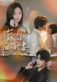 偷心劫匪是娇妻封面图