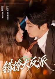 错撩大反派封面图