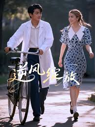 逆风绽放封面图