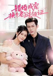 错婚成宠换个老公去领证