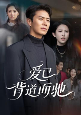 爱已背道而驰封面图