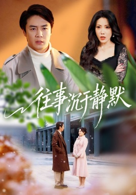 往事沉于静默封面图