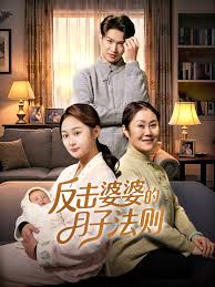 反击婆婆的月子法则