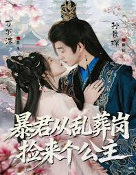 暴君从乱葬岗捡来个公主封面图