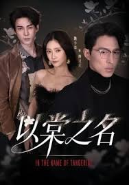 以棠之名封面图