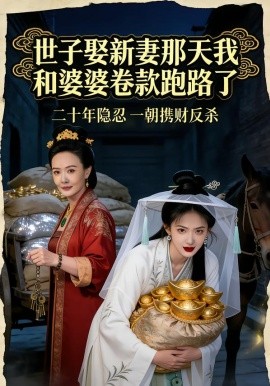 世子娶新妻那天我和婆婆卷款跑路了封面图