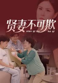 贤妻不可欺封面图