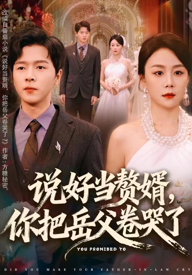 说好当赘婿，你把岳父卷哭了封面图