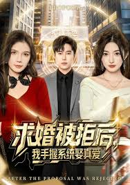 求婚被拒后我手握系统娶真爱