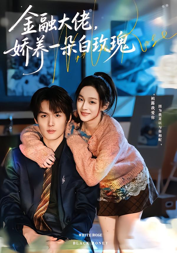 金融大佬娇养一朵白玫瑰