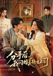分手后我闪婚美艳女上司
