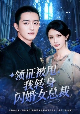 领证被甩我转身闪婚女总裁